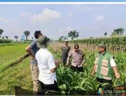 Mencegah Gagal Panen Sejak Dini, Polisi Turun Berdialog dengan Petani