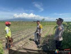 Dukung Ketahanan Pangan, Bhabinkamtibmas Polsek Tarokan Lakukan Pengecekan dan Edukasi di Dusun Becek