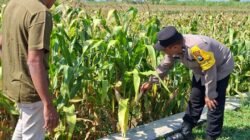 Polisi Kediri Kawal Program Ketahanan Pangan hingga Tingkat Desa