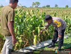 Polisi Kediri Kawal Program Ketahanan Pangan hingga Tingkat Desa