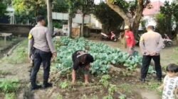Dukung Ketahanan Pangan, Polres Kediri Dampingi KWT Sido Makmur Budidayakan Bunga Kol
