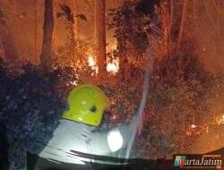 Kebakaran Lahan Jati di Puhsarang Kediri Berhasil Dipadamkan, Aset Senilai Rp 60 Juta Diselamatkan