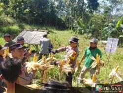 Polres Pacitan Genjot Produktivitas Jagung di Bandar, Dampingi Petani dan Evaluasi Kualitas Benih