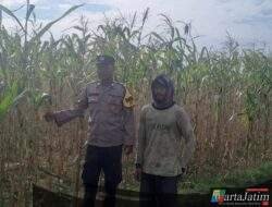 Lewat Aksi Nyata Bhabinkamtibmas Polres Kediri Kota, Desa Tarokan Bersiap Jadi Pelopor Mandiri Pangan
