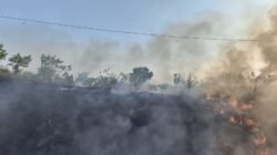 Demi Keselamatan Perjalanan KA, KAI Daop 7 Madiun Imbau Masyarakat Tak Bakar Ilalang