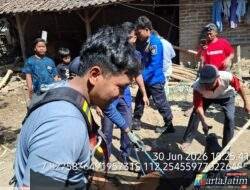 Berjuang di Batas Oksigen: Kisah Pilu Evakuasi Anak Sapi Limosin di Kediri yang Berakhir Duka di Dasar Sumur 25 Meter