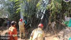Gerak Kilat 4 Menit: Damkar Kediri Selamatkan Kandang Sapi Rp100 Juta dari Kebakaran