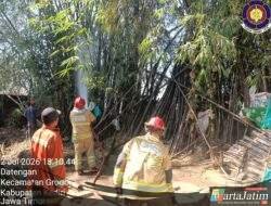 Gerak Kilat 4 Menit: Damkar Kediri Selamatkan Kandang Sapi Rp100 Juta dari Kebakaran