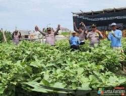 Polres Pelabuhan Tanjungperak Perkuat Sinergi Lintas Sektor Wujudkan Swasembada Pangan