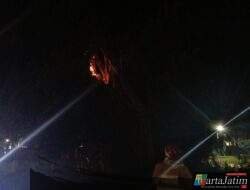 Mencekam! Pohon Beringin Makam Ngasem Kediri Diamuk Si Jago Merah, Ketangguhan Damkar Diuji Malam Jumat