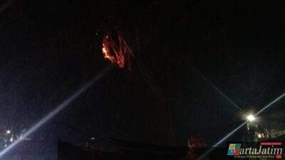 Mencekam! Pohon Beringin Makam Ngasem Kediri Diamuk Si Jago Merah, Ketangguhan Damkar Diuji Malam Jumat