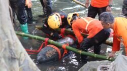 Respons Cepat Polres Blitar Kota dan Tim Jibom Brimob Polda Jatim Berhasil Evakuasi Bom Udara Aktif