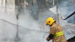 Korsleting Listrik Blower Picu Kebakaran Kandang Ayam di Wates, Gerak Cepat Damkar Kediri Berhasil Jinakkan Api