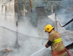 Korsleting Listrik Blower Picu Kebakaran Kandang Ayam di Wates, Gerak Cepat Damkar Kediri Berhasil Jinakkan Api