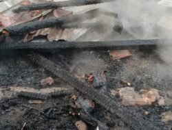 Kandang BUMDES di Tarokan Kediri Terbakar, 50 Kambing Mati; Damkar dan Polsek Ingatkan Bahaya Perapian Tradisional