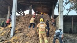 Damkar Kabupaten Kediri Padamkan Kebakaran Sepah Tebu di Kandat, Kasatpol PP Ingatkan Kewaspadaan di Tengah Cuaca Ekstrem