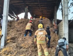 Damkar Kabupaten Kediri Padamkan Kebakaran Sepah Tebu di Kandat, Kasatpol PP Ingatkan Kewaspadaan di Tengah Cuaca Ekstrem
