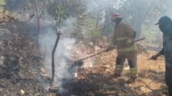 Tim Damkar Kabupaten Kediri Padamkan Kebakaran Lahan di Desa Bulusari Tarokan, Kerugian Capai Rp 5 Juta
