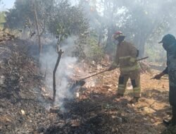 Tim Damkar Kabupaten Kediri Padamkan Kebakaran Lahan di Desa Bulusari Tarokan, Kerugian Capai Rp 5 Juta