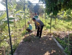 Tiga Pilar Singonegaran dan Mahasiswa KKN Tanam Bibit Terong, Dukung Ketahanan Pangan Berbasis Masyarakat