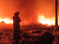 Diduga Akibat Bakar Sampah Sembarangan, Gudang Rosok di Wates Nyaris Ludes Dilalap Si Jago Merah