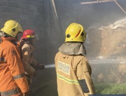 Kelalaian Bakar Sampah Picu Kebakaran Kandang Ayam di Puncu Kediri, Kerugian Capai Rp8 Juta