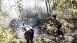 Respon Cepat Call Center 110 Polres Ngawi, Kebakaran Lahan di Bukit Gogor Sine Berhasil Dipadamkan