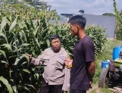 Bhabinkamtibmas Lirboyo Edukasi Petani Jagung, Perkuat Ketahanan Pangan Menuju Swasembada Nasional