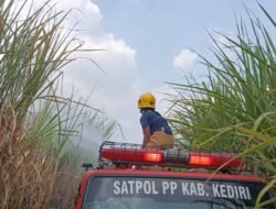 Respons Cepat Damkar Kabupaten Kediri Jinakkan Kebakaran Lahan Tebu di Ngadiluwih, Kaleb Untung: Keselamatan Warga Prioritas Utama