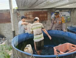 Ketahanan Pangan Dimulai dari Kolam Lele, Ini Langkah Kapolsek Plosoklaten