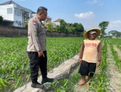 Bhabinkamtibmas Kelurahan Banjaran Dampingi Petani Jagung, Perkuat Ketahanan Pangan Menuju Swasembada Nasional
