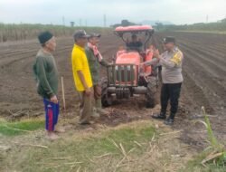 Perkuat Ketahanan Pangan, Bhabinkamtibmas Pakunden Aktif Dampingi Petani Jagung