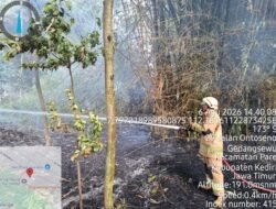 Rumpun Bambu Terbakar di Pare, Damkar Kabupaten Kediri Selamatkan Dua Rumah dan Kandang Ayam dari Amukan Api