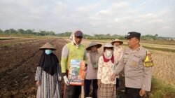 Benih Unggul, Harapan Panen Melimpah: Bhabinkamtibmas Kedawung Dampingi Petani