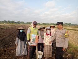 Benih Unggul, Harapan Panen Melimpah: Bhabinkamtibmas Kedawung Dampingi Petani