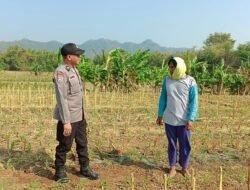 Bhabinkamtibmas Pojok Aktif Dampingi Petani, Dukung Ketahanan Pangan di Kota Kediri
