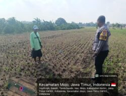 Bhabinkamtibmas Edukasi Petani Jagung, Dukung Ketahanan Pangan di Desa Sukoanyar