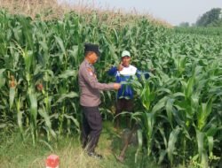 Polsek Kunjang Sambangi Kelompok Tani Kapas, Dukung Ketahanan Pangan