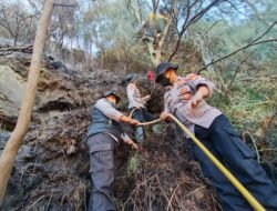 Karhutla Bromo: Api Mengarah ke Ngadisari, Polres Probolinggo Gerak Cepat Padamkan Api di Blok Seruni
