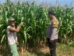 Polres Kediri Turun ke Lahan Jagung, Petani Diajak Cermati Kondisi Tanaman