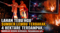 Lahan Tebu HGU Sumber Lembu Terbakar, 4 Hektare Terdampak, Damkar Kediri Berhasil Padamkan Api
