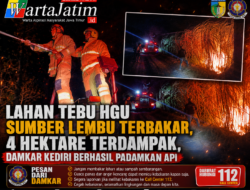 Lahan Tebu HGU Sumber Lembu Terbakar, 4 Hektare Terdampak, Damkar Kediri Berhasil Padamkan Api