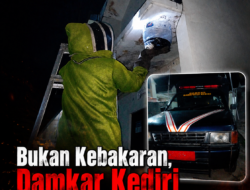 Bukan Kebakaran, Damkar Kediri Mendadak Berjibaku Evakuasi Sarang Lebah di Rumah Warga