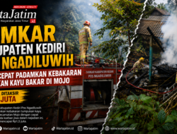 Damkar Kabupaten Kediri Gerak Cepat Padamkan Kebakaran Tumpukan Kayu Bakar di Mojo, Kerugian Rp1,5 Juta