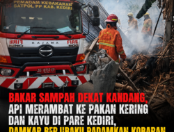 Bakar Sampah Dekat Kandang, Api Merambat ke Pakan Kering dan Kayu di Pare Kediri, Damkar Berjibaku Padamkan Kobaran