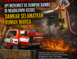 Bakar Sampah Berujung Petaka, Api Merembet ke Rumpun Bambu di Ngadiluwih Kediri, Damkar Selamatkan Rumah Warga