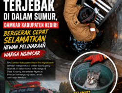 Kucing Terjebak di Dalam Sumur, Damkar Kabupaten Kediri Bergerak Cepat Selamatkan Hewan Peliharaan Warga Ngancar