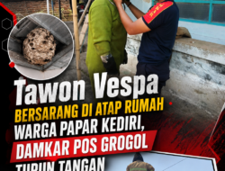 Tawon Vespa Bersarang di Atap Rumah Warga Papar Kediri, Damkar Pos Grogol Turun Tangan