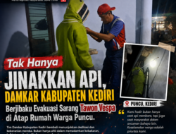 Tak Hanya Jinakkan Api, Damkar Kabupaten Kediri Berjibaku Evakuasi Sarang Tawon Vespa di Atap Rumah Warga Puncu