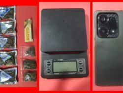 Polres Pelabuhan Tanjung Perak Ungkap Peredaran Ganja di Medos, Tersangka Pengedar Diamankan